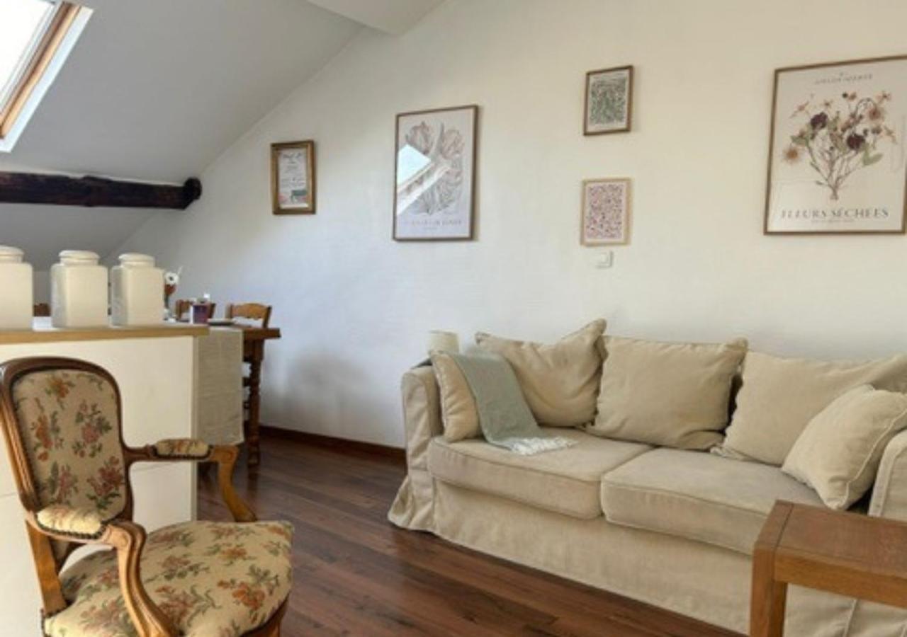 Апартаменты Le Fleuri - Reims - Wifi Gratuit - Quartier Calme Экстерьер фото